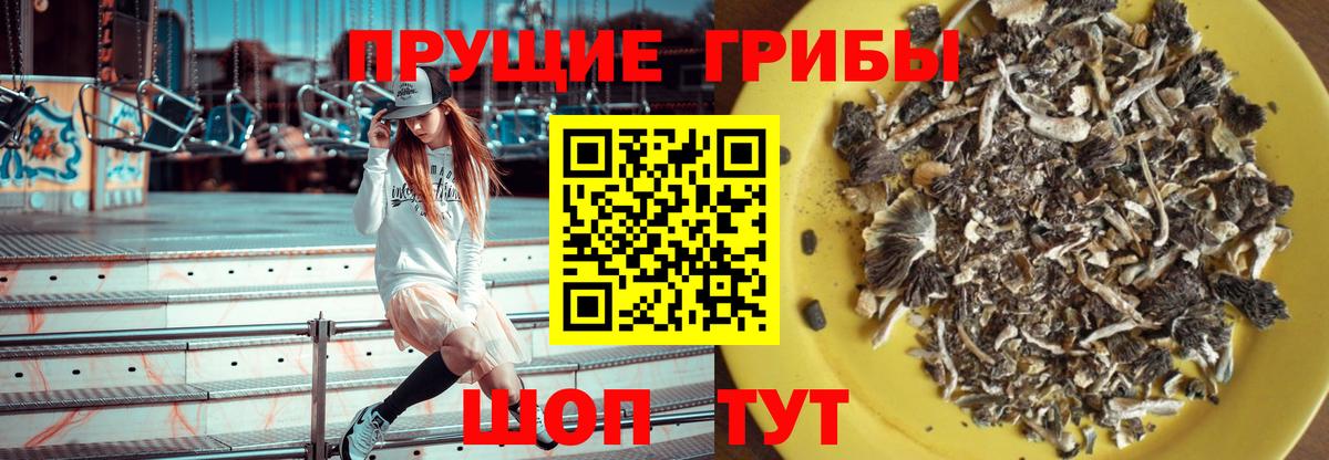 Псилоцибиновые грибы Magic Shrooms  Псилоцибиновые грибы прущие грибы  Кропоткин  Вход с VPN 