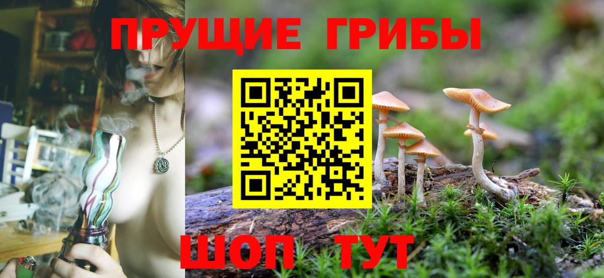 Псилоцибиновые грибы прущие грибы Кропоткин
